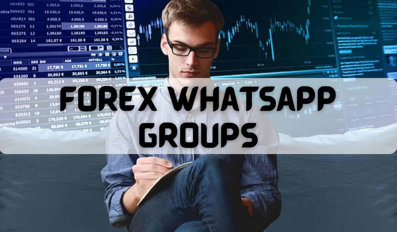 Forex Whatsapp Groups Link
