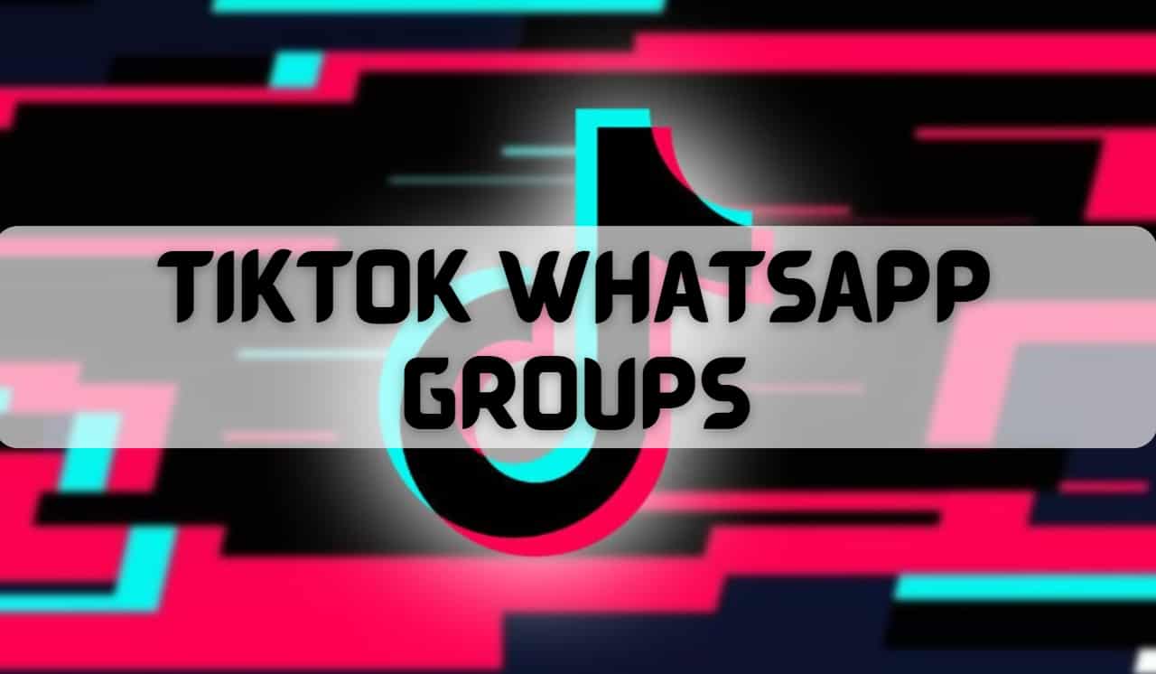 Tiktok Whatsapp Group Link